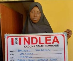 Ndlea