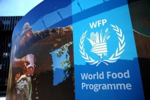 Food security: 25,000 tons of wheat for Northeast arrive from Ukraine