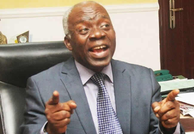 Femi-Falana