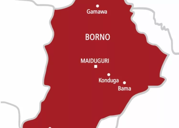 15-yr-old Girl Arrested for Dumping Newborn Inside Toilet In Borno IDPs Camp