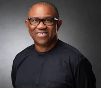 The unconstitutional removal of elected office holders