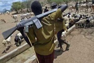 Benue State: Fulani herdsmen kill 50, burn 50 Churches in Makurdi